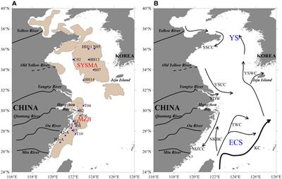 Carbon stocks in the mud areas of the Chinese marginal seas